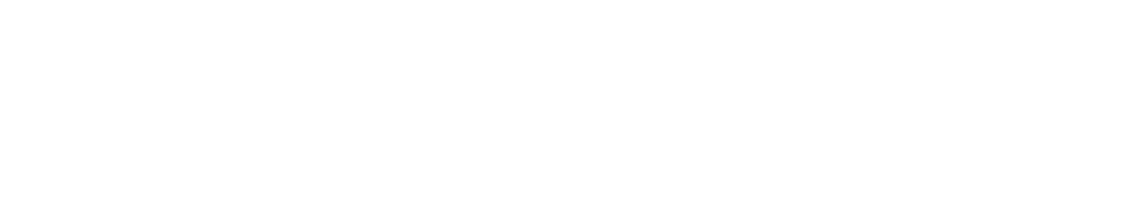 Invenzify